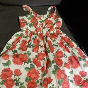 Disney rose dress